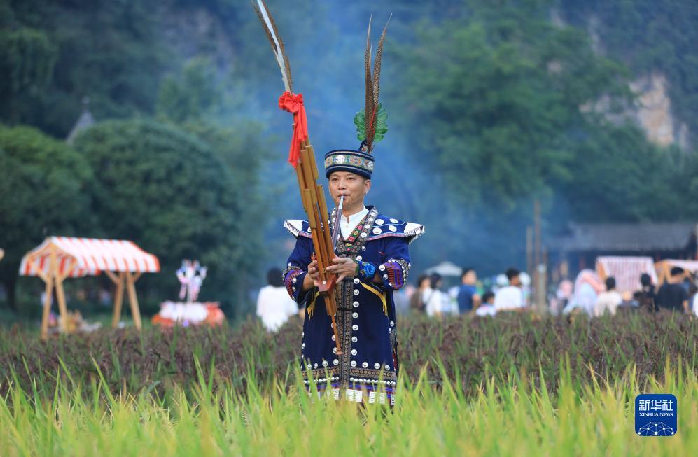 永利真人正网